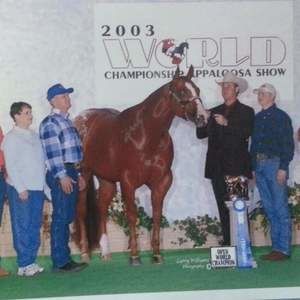 Meet your Posher, Tommie